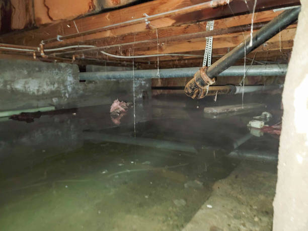 Best 24/7 water damage repair  in Niagara, WI