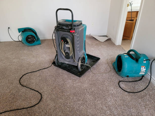 Best Professional water damage repair  in Niagara, WI