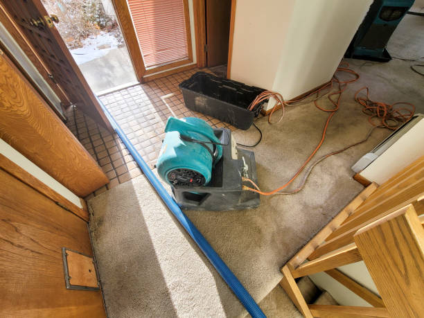Best Carpet water damage restoration  in Niagara, WI