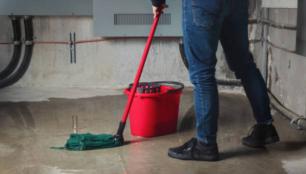 Best Flood restoration services  in Niagara, WI
