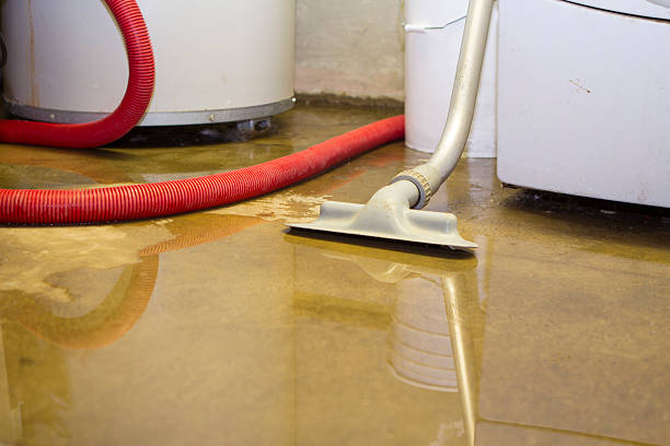 Best Commercial water damage restoration  in Niagara, WI
