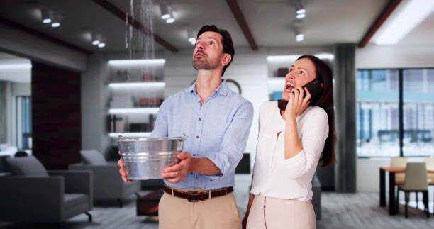 Best Mold removal after water damage  in Niagara, WI