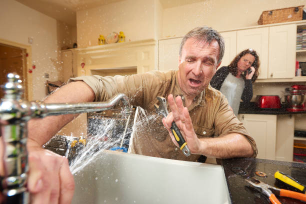 Best Water damage contractors near me  in Niagara, WI